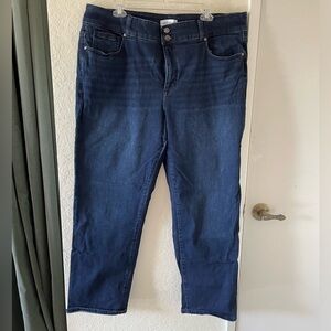 Lane Bryant high-rise straight jeans